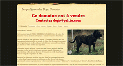 Desktop Screenshot of dogo-canario.fr