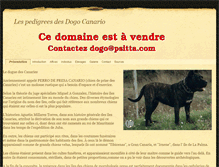 Tablet Screenshot of dogo-canario.fr